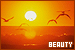 Concepts - Beauty