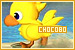FF - Chocobos FF - Chocobos